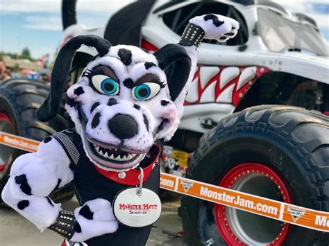 Dalmatian Mascot Regalia: Enhancing Team Unity and Fan Support